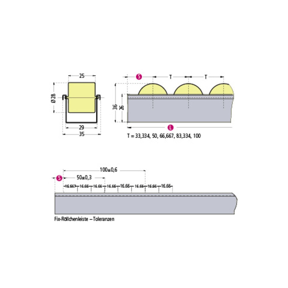 Imagem do produto n.º 2: BS ROLLEN calha de roletes, roletes de plástico duráveis para cargas leves, capacidade de carga de 6 kg por rolo, divisão 33 mm