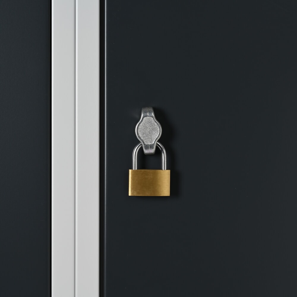 Imagem do produto n.º 2: Armário de vestiário Steinbock®, de chão, 2 níveis, 4 compartimentos, fecho de came giratório, AxLxP 1800 x 600 x 500 mm, cinzento-claro/cinzento-antracite